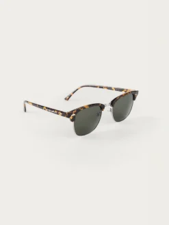 Hombre Alvaro Moreno GAFAS MASTER MARRÓN