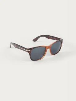 Hombre Alvaro Moreno GAFAS NICK MARRÓN