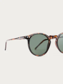 Hombre Alvaro Moreno GAFAS ROUNDER MARRÓN