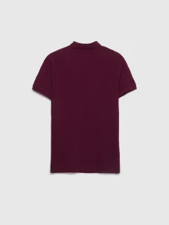 Hombre Alvaro Moreno POLO BASIC